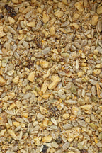 Dukkah Spicy