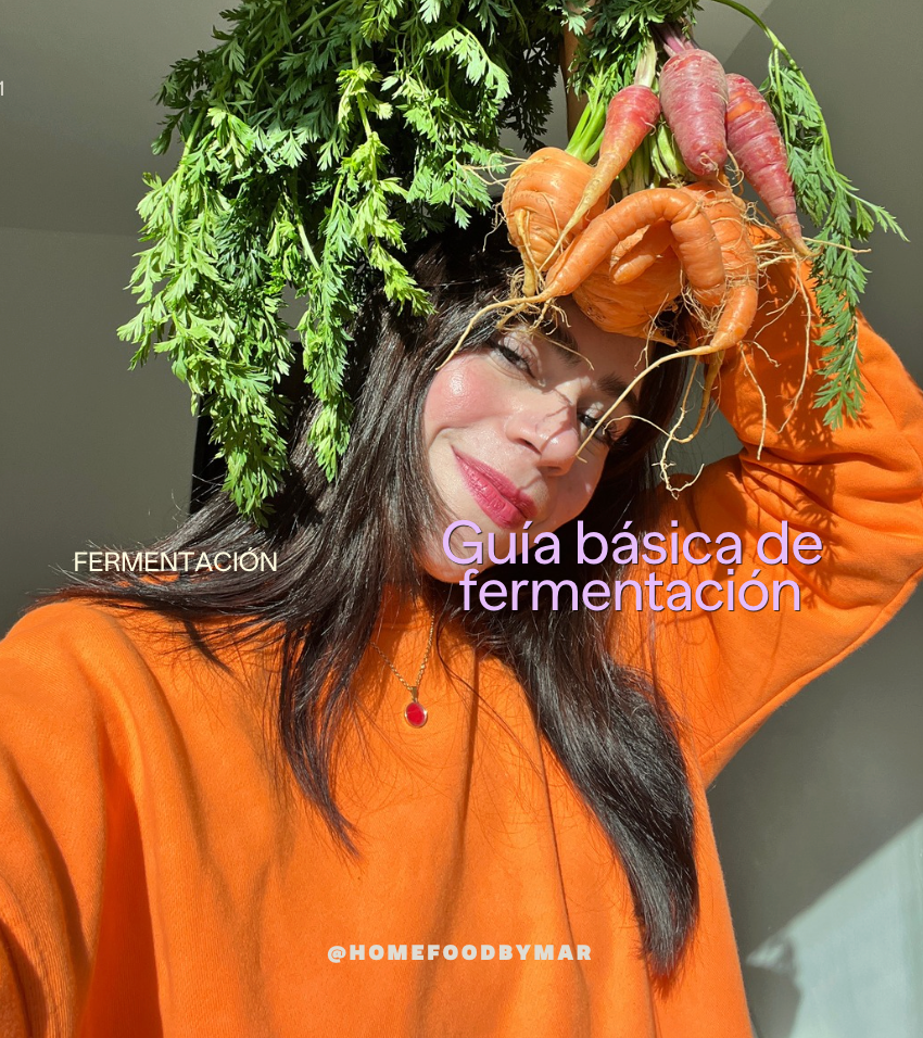 Freebie: Guía básica de fermentación